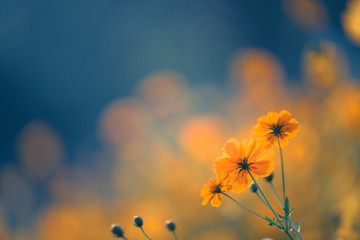 北京植物园怎么样-