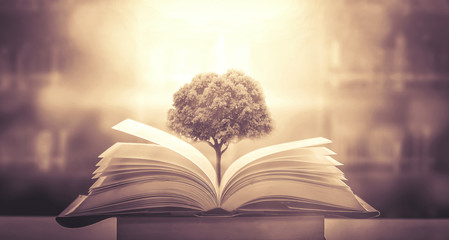 50句史上最虐心唯美伤感语录