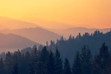 《西游记》中考训练题及答案？