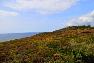 糯米不能和什么一起吃