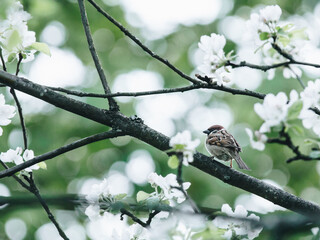 圆周率(完整版)