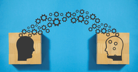 霸王鞭的养殖方法和注意事项