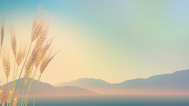 北京植物园怎么样-