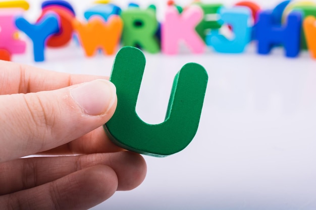 霸王鞭的养殖方法和注意事项