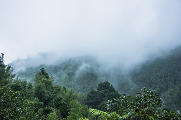 北京植物园怎么样-